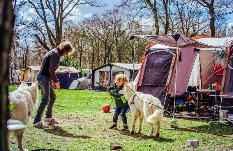 Beringerzand camping in limburg met hond