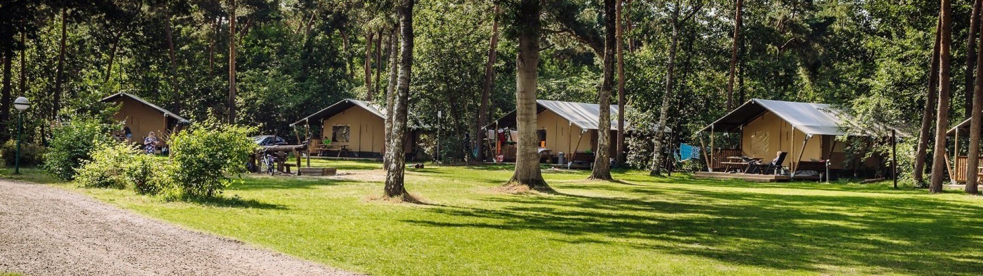 Beringerzand glamping bobbies lodgetent 1