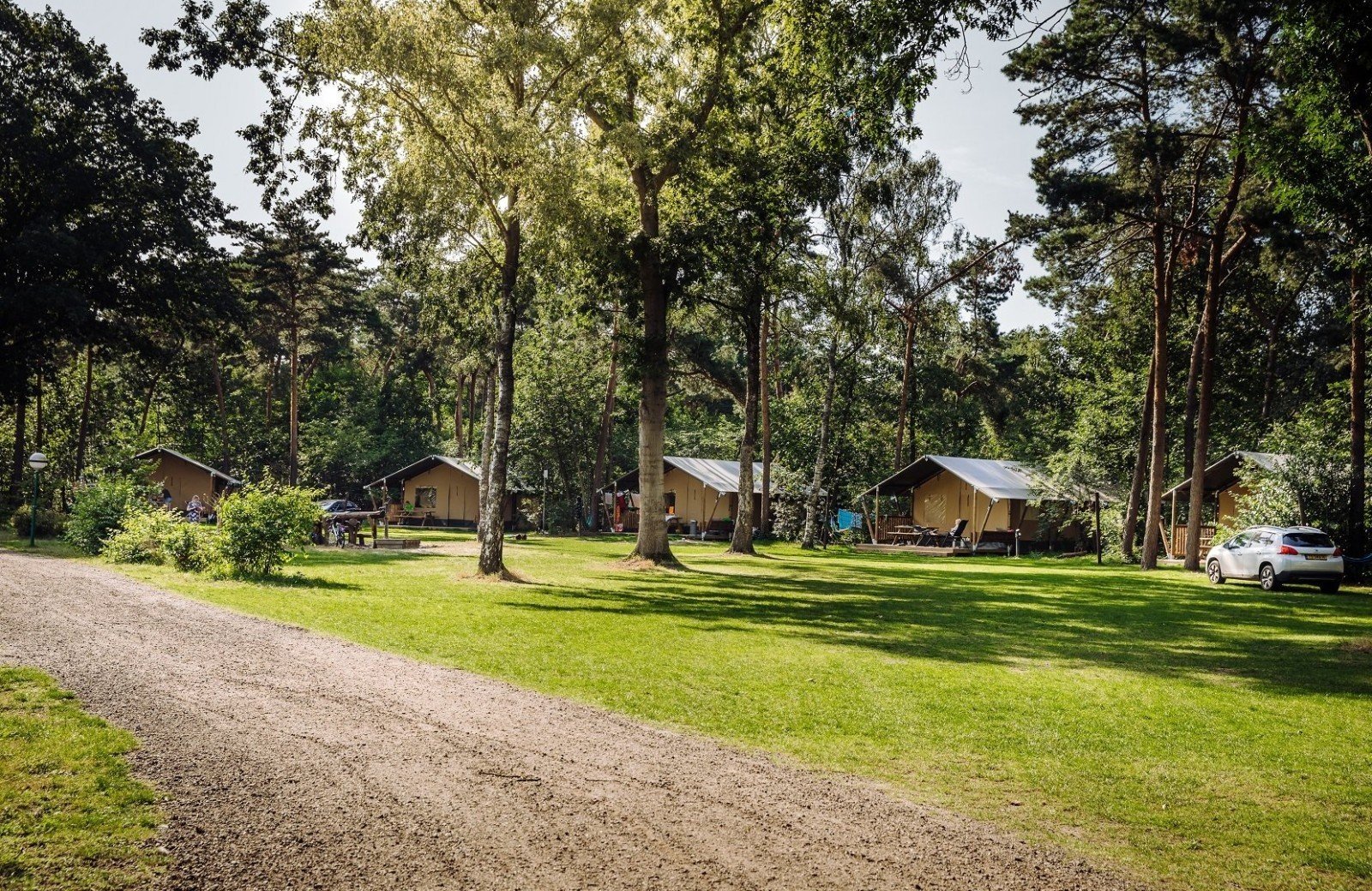 Beringerzand glamping bobbies lodgetent 1