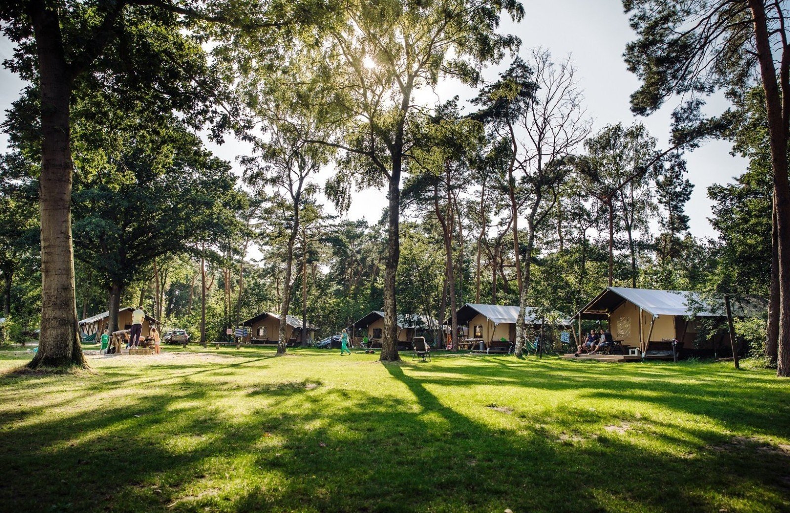 Beringerzand glamping bobbies lodgetent 12