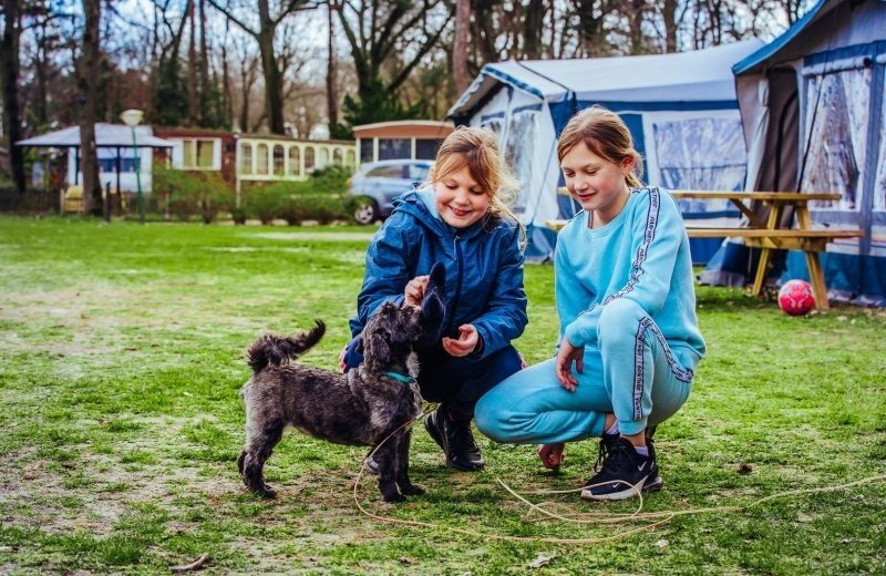 Beringerzand hondvriendelijke camping in limburg