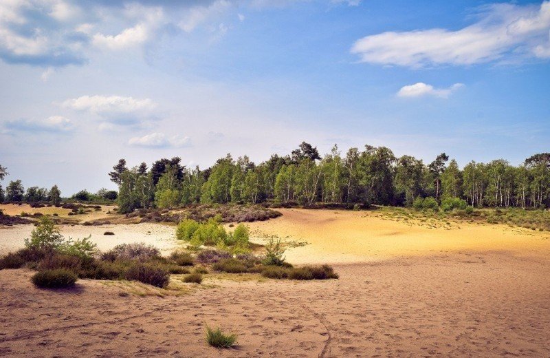Nationaal Park De Maasduinen