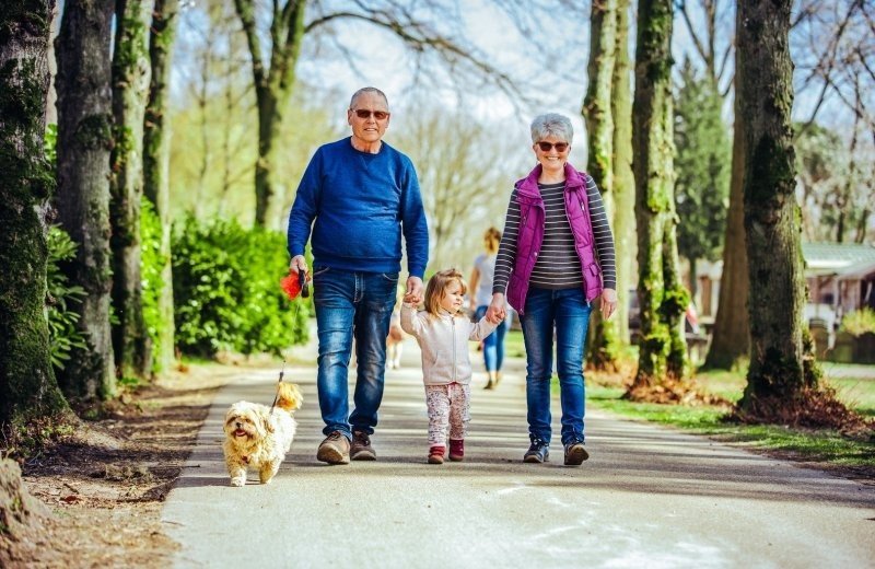Beringerzand wandelroute met hond in limburg