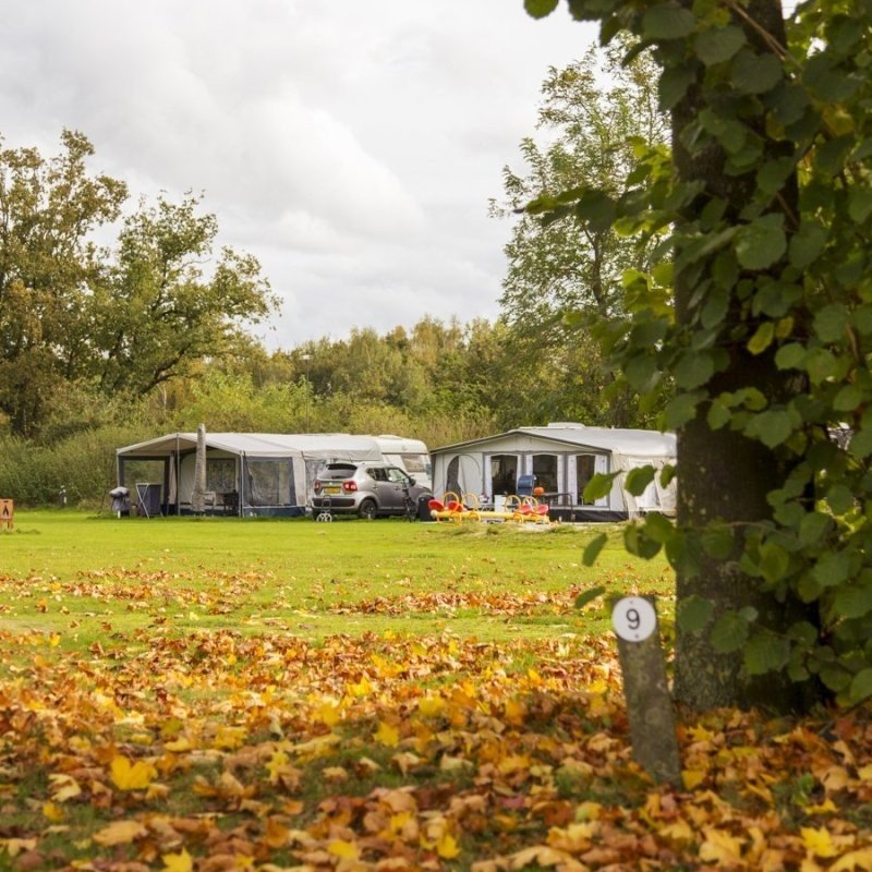 Najaar Arrangement 2026