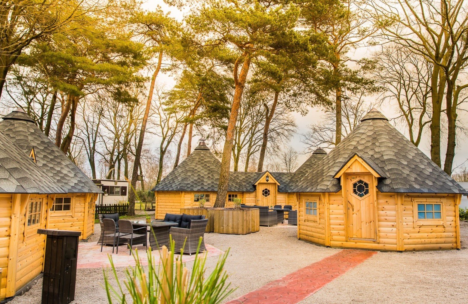 Finse kota met huisdier