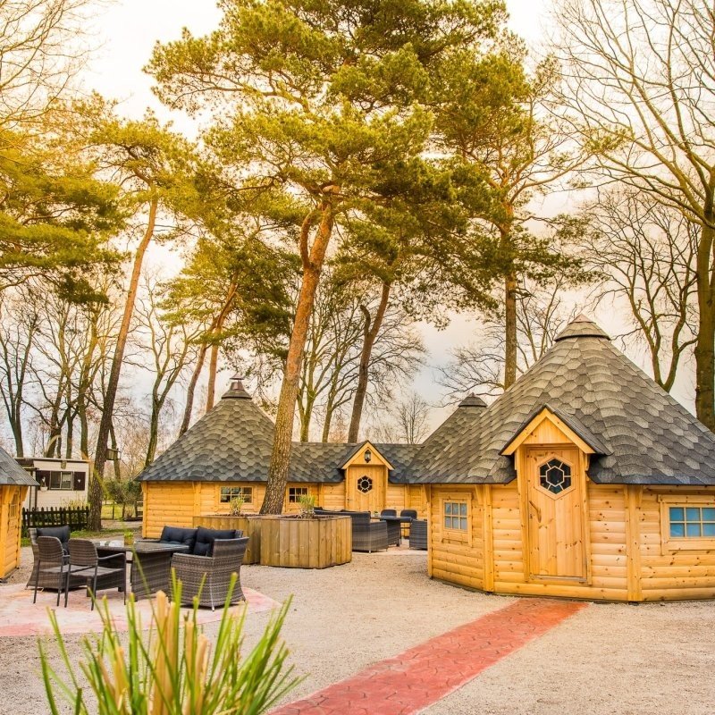 Finse Kota met huisdier