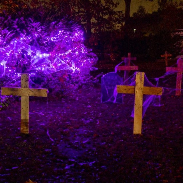 Halloween 24 lr 9766