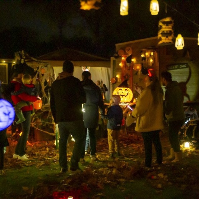 Halloween 24 lr 9877