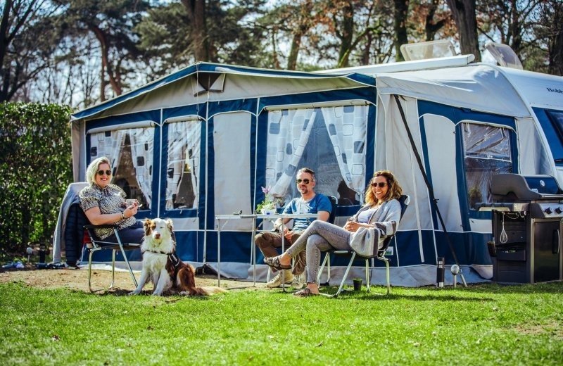 Kamperen met hond op camping beringerzand in limburg