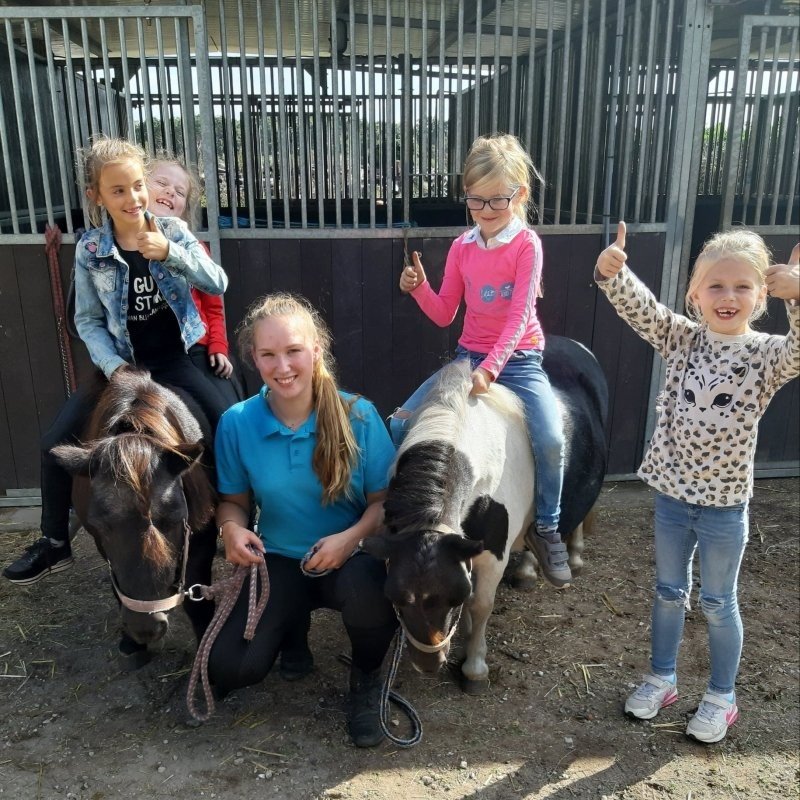 Bobbie's Pony Feestje