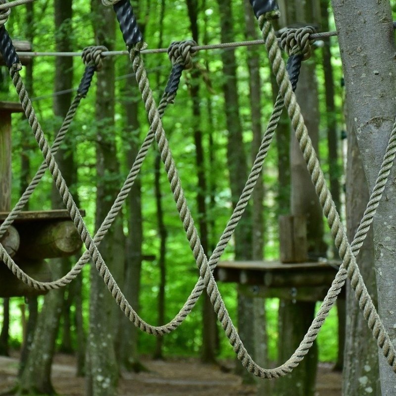 Activiteiten in de omgeving