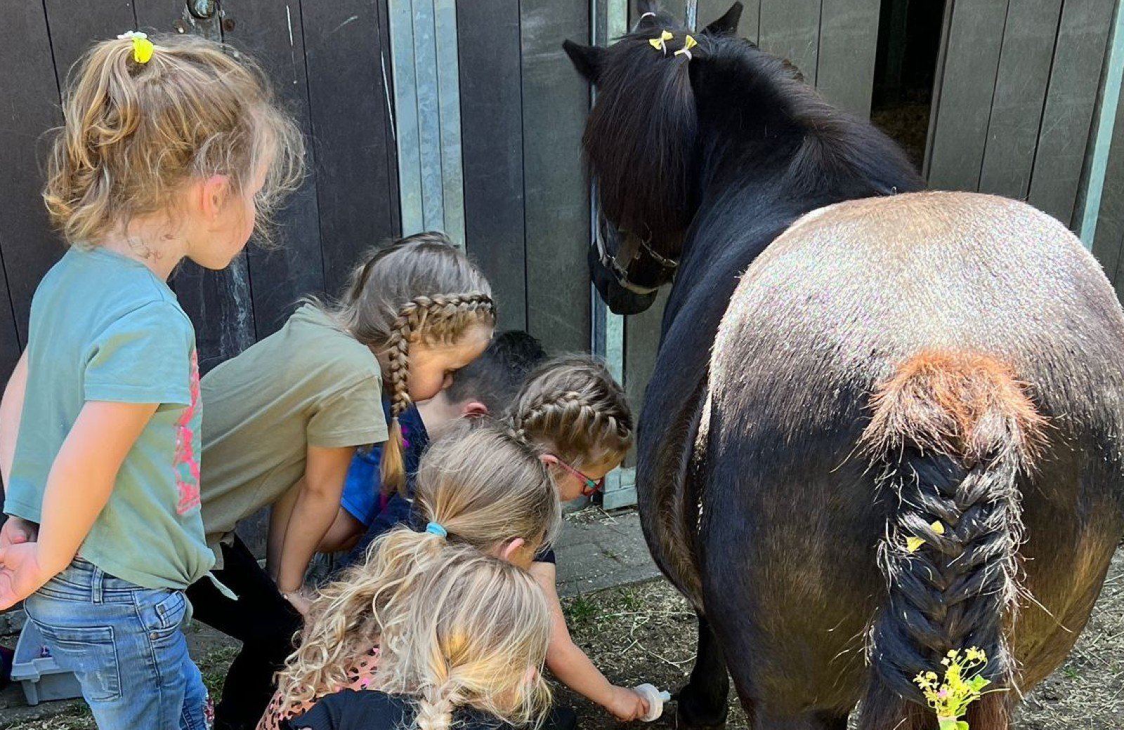 Pony kinderfeestje beringerzand 2