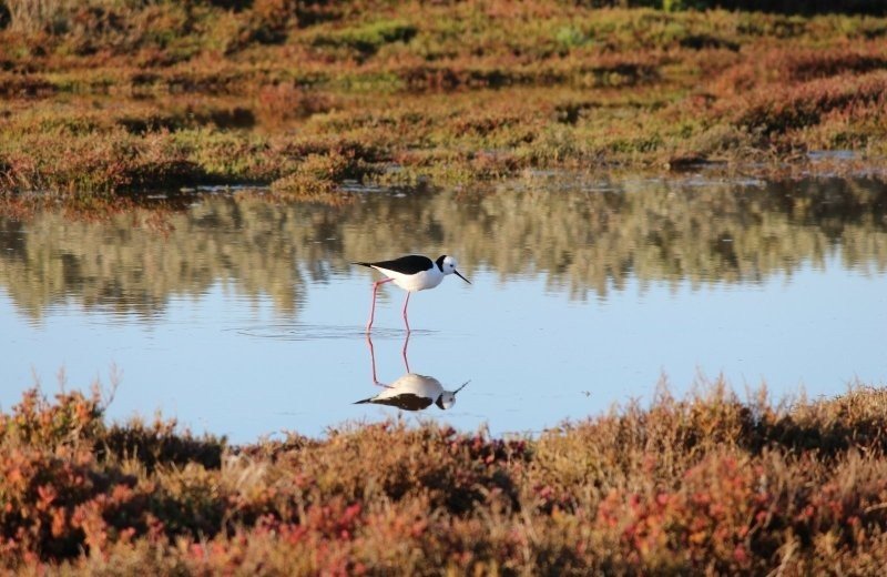Nationaal Park De Groote Peel