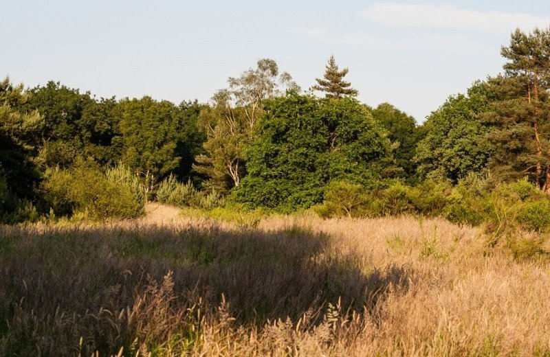 Nationaal Park De Meinweg