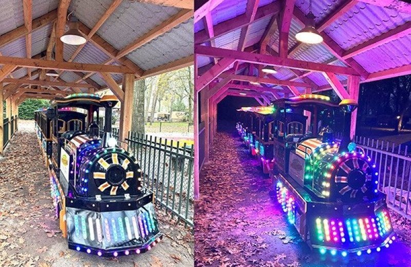 Recreatiepark beringerzand treintje voor kinderen over camping